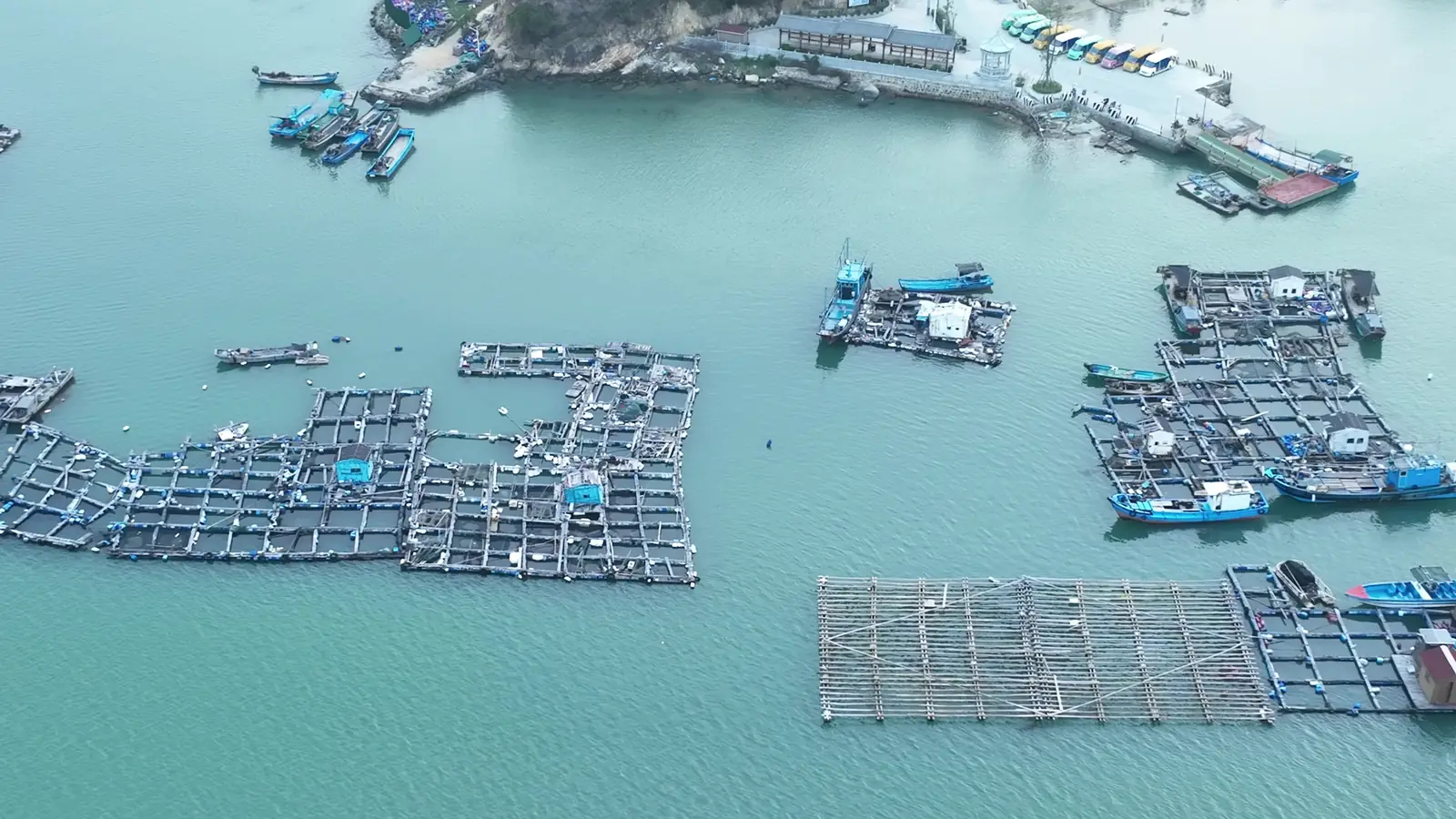 Typhoon season at the cages: what offshore farms do before a storm